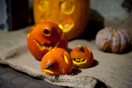 Hydre_2013_Hydralloween_035