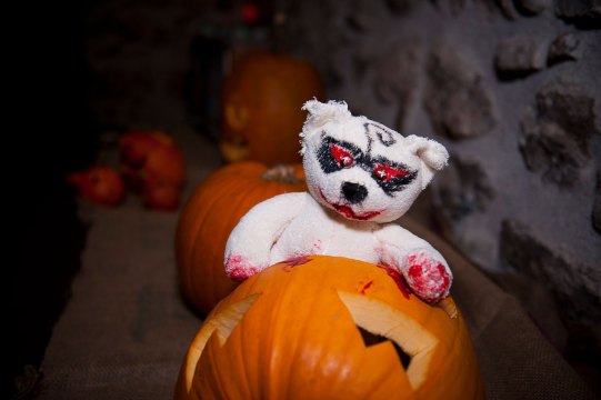 Hydre_2013_Hydralloween_037