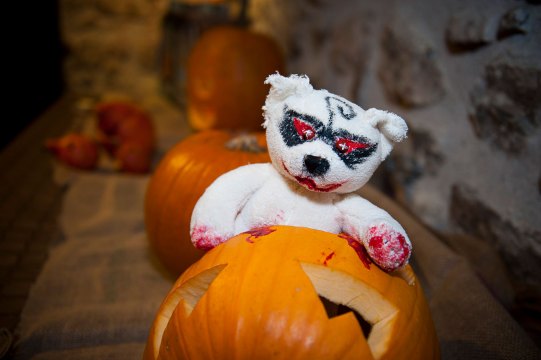 Hydre_2013_Hydralloween_038