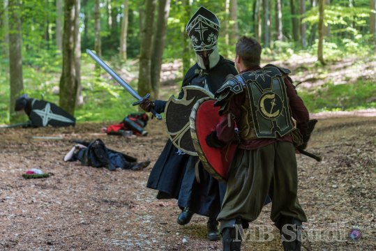 Hydre_2016_Brumes_JourneeInfo_016