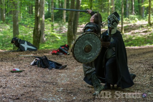 Hydre_2016_Brumes_JourneeInfo_017