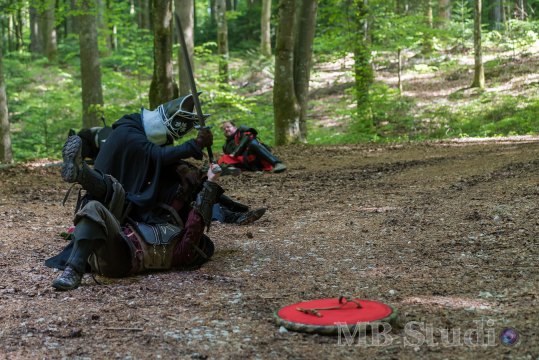 Hydre_2016_Brumes_JourneeInfo_019