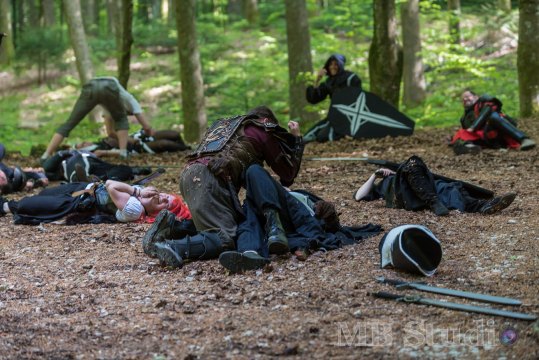Hydre_2016_Brumes_JourneeInfo_021