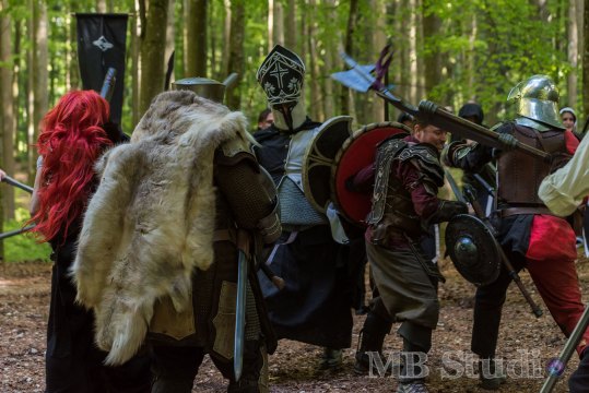 Hydre_2016_Brumes_JourneeInfo_026