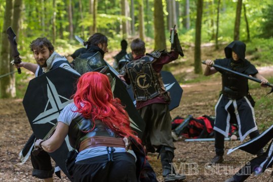 Hydre_2016_Brumes_JourneeInfo_029