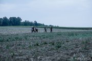 Hydre_Obscur_2022_Purple-Fox_311