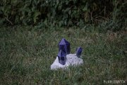 Hydre_Obscur_2022_Purple-Fox_419