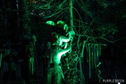 Hydre_Obscur_2022_Purple-Fox_488
