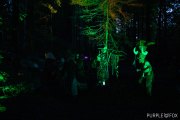 Hydre_Obscur_2022_Purple-Fox_501