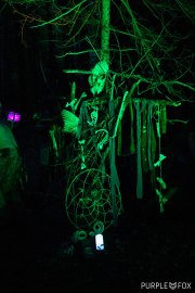 Hydre_Obscur_2022_Purple-Fox_502