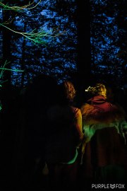 Hydre_Obscur_2022_Purple-Fox_522