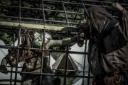 Hydre_Obscur_2023_Melis_397