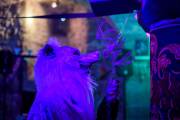 Hydre_Hydralloween_2024_Christine-Talos_024