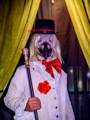 Hydre_Hydralloween_2024_Christine-Talos_101