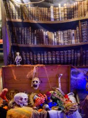 Hydre_Hydralloween_2025_MB-ChristineTalos_297