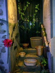 Hydre_Hydralloween_2025_MB-ChristineTalos_300