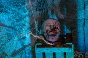 Hydre_Hydralloween_2025_MB-ChristineTalos_303