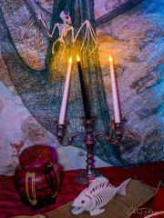 Hydre_Hydralloween_2025_MB-ChristineTalos_304