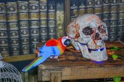 Hydre_Hydralloween_2025_MB-ChristineTalos_306