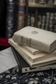 Hydre_Obscur_2025_Melis_049