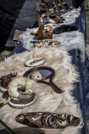 Hydre_Obscur_2025_Melis_063