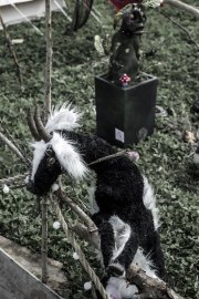 Hydre_Obscur_2025_Melis_1019