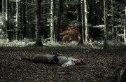 Hydre_Obscur_2025_Melis_1022