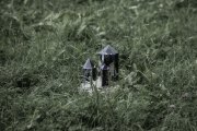 Hydre_Obscur_2025_Melis_1144