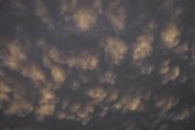 Hydre_Obscur_2025_Melis_1276