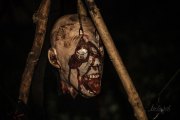 Hydre_Obscur_2025_Melis_395