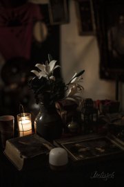 Hydre_Obscur_2025_Melis_401