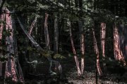 Hydre_Obscur_2025_Melis_634