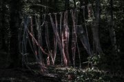 Hydre_Obscur_2025_Melis_635