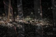 Hydre_Obscur_2025_Melis_636