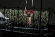 Hydre_Obscur_2025_Melis_777