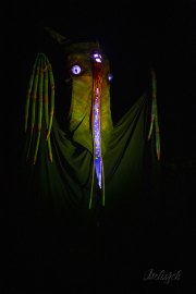 Hydre_Obscur_2025_Melis_834