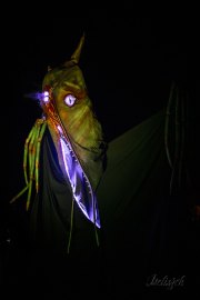 Hydre_Obscur_2025_Melis_835