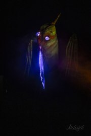 Hydre_Obscur_2025_Melis_836