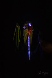 Hydre_Obscur_2025_Melis_838