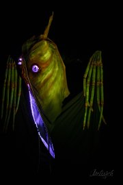 Hydre_Obscur_2025_Melis_842