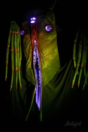 Hydre_Obscur_2025_Melis_843