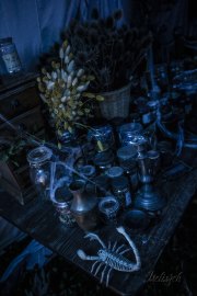 Hydre_Obscur_2025_Melis_845