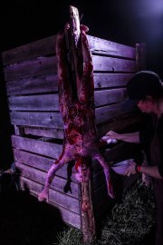 Hydre_Obscur_2025_Melis_856