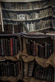 Hydre_Obscur_2025_Melis_895