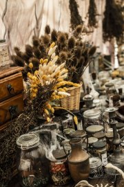 Hydre_Obscur_2025_Melis_998