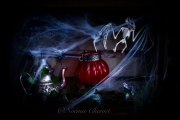 Hydre_Obscur_2025_Noemie_0019