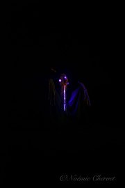 Hydre_Obscur_2025_Noemie_0027