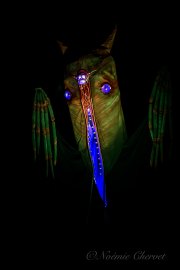 Hydre_Obscur_2025_Noemie_0221