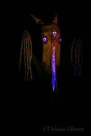 Hydre_Obscur_2025_Noemie_0222