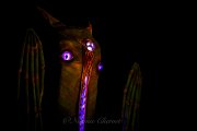 Hydre_Obscur_2025_Noemie_0223